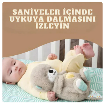Nefes Alan Ayıcık