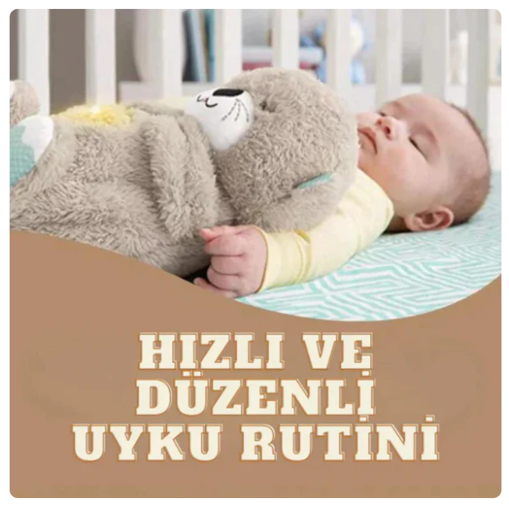 Nefes Alan Ayıcık